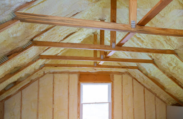 Best Commercial Insulation Contractor  in Berrien Springs, MI