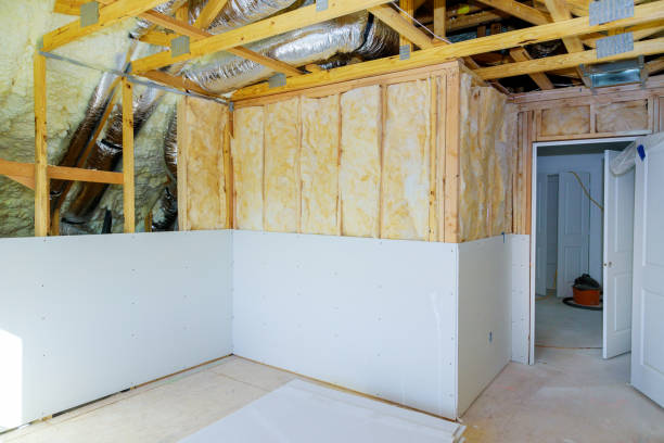 Best Residential Insulation Services  in Berrien Springs, MI