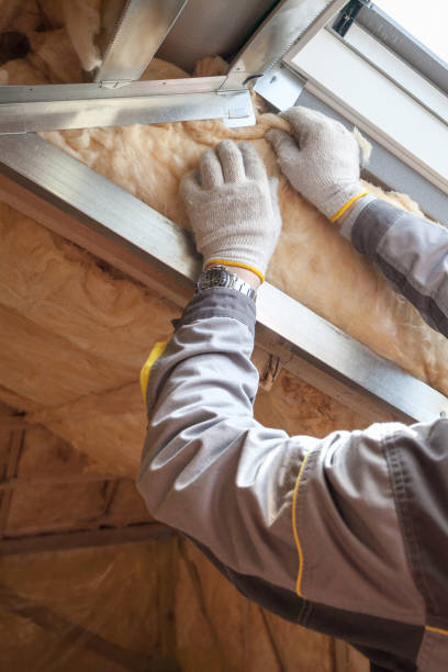 Best Attic Insulation Installation  in Berrien Springs, MI