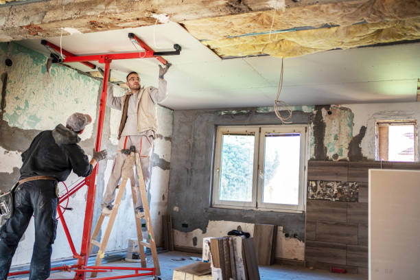 Insulation Repair Services in Berrien Springs, MI