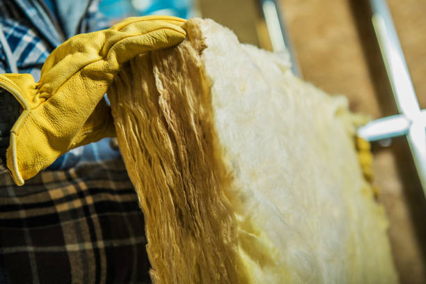 Professional Insulation Contractor in Berrien Springs, MI