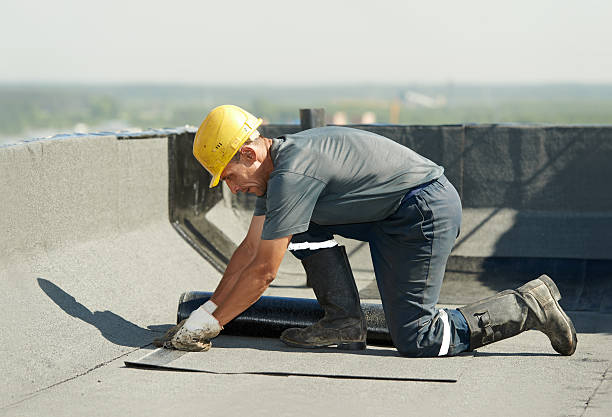 Best Insulation Contractors for Homes  in Berrien Springs, MI