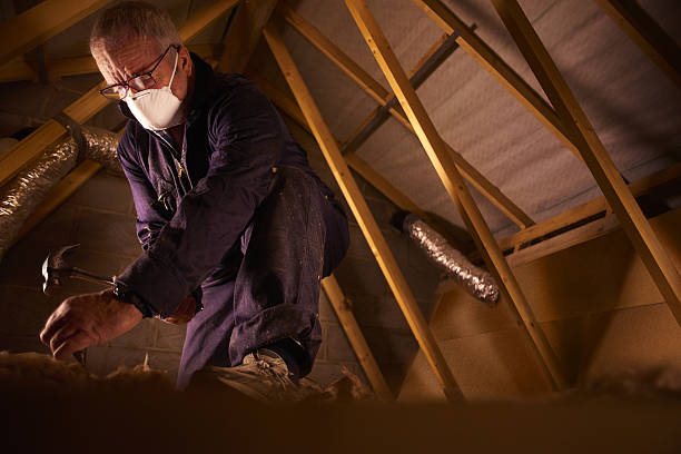 Best Soundproof Insulation Installation  in Berrien Springs, MI