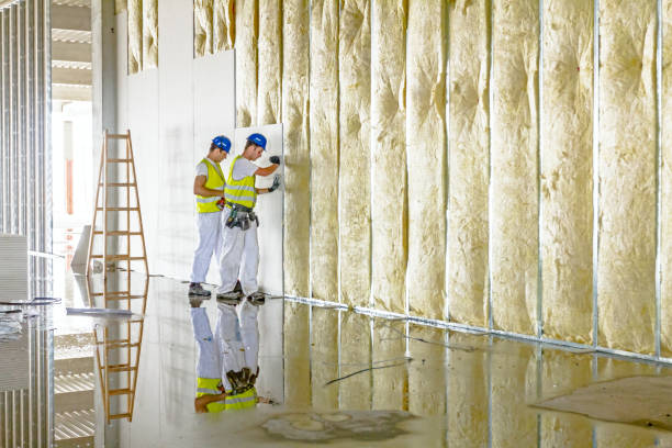 Best Insulation Replacement Services  in Berrien Springs, MI